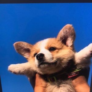 Meet your Posher, Madelyn